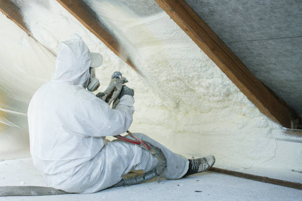 Eco-Friendly or Green Insulation Solutions in Smyrna, TN